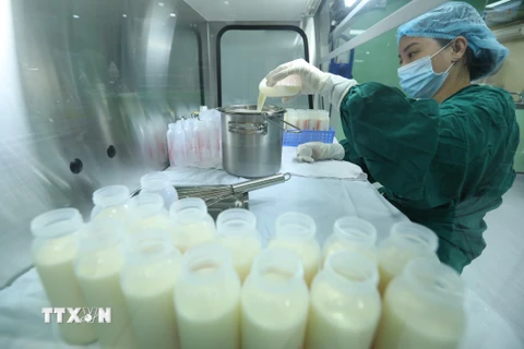 Nhân viên y tế Ngân hàng sữa mẹ thực hiện quy trình bảo quản sữa. (Ảnh: Minh Quyết/TTXVN)