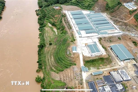 Những chiếc bể chứa chất thải chăn nuôi của trang trại lợn nằm lộ thiên ngay sát bờ sông Hồng. (Ảnh: Tuấn Anh/TTXVN)