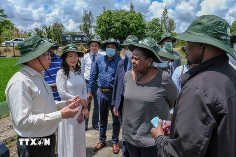 Chủ tịch Quốc hội Cộng hòa Mozambique, bà Esperanca Laurinda Francisco Nhiuane Bias, tham quan khu ruộng thí nghiệm của Viện lúa Đồng bằng sông Cửu Long. (Ảnh: Thanh Liêm/TTXVN)