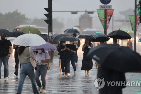 Nhiều khu vực ở Hàn Quốc ghi nhận mưa lớn trong đêm. (Nguồn: Yonhap)