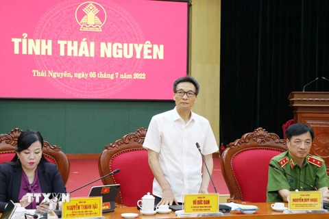 Phó Thủ tướng Chính phủ Vũ Đức Đam phát biểu trong buổi làm việc với tỉnh Thái Nguyên. (Ảnh: Hoàng Nguyên/TTXVN)