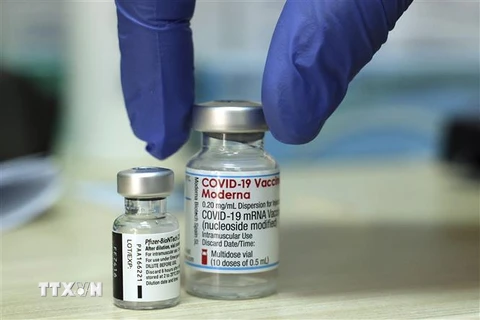 Vaccine ngừa COVID-19 của hãng Pfizer và Moderna. (Ảnh: AFP/TTXVN)