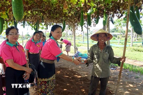 Đại biểu Hội Liên hiệp Phụ nữ Lào tặng biểu tượng hoa Champa cho một người dân làng trồng rau truyền thống Trà Quế, thành phố Hội An, tỉnh Quảng Nam. (Ảnh: Trịnh Bang Nhiệm/TTXVN)