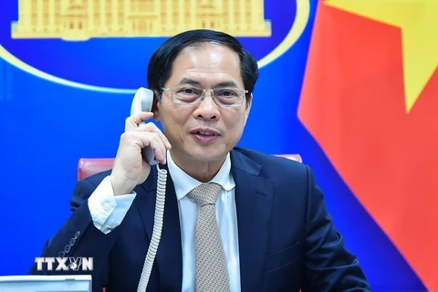 Bộ trưởng Ngoại giao Bùi Thanh Sơn. (Nguồn: TTXVN phát)