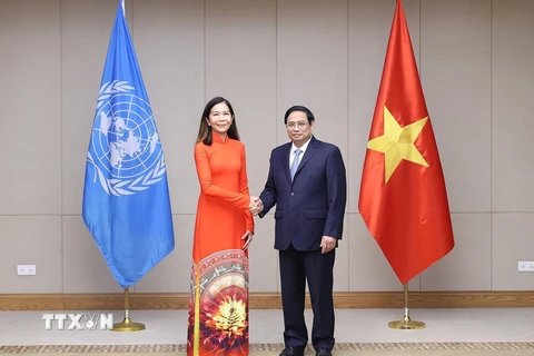 Thủ tướng Phạm Minh Chính tiếp bà Pauline Tamesis, Điều phối viên thường trú của Liên hợp quốc tại Việt Nam. (Ảnh: Dương Giang/TTXVN)