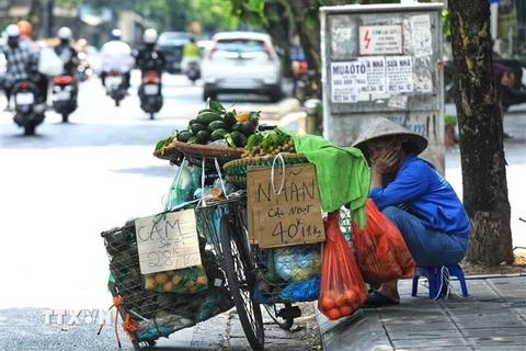 Một người bán hàng rong giữa trưa Hè nóng bức ở Hà Nội. (Ảnh: Tuấn Anh/TTXVN)