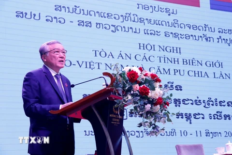 Ủy viên Bộ Chính trị, Chánh án Tòa án Nhân dân Tối cao Nguyễn Hòa Bình phát biểu tại hội nghị. (Ảnh: Phạm Kiên/TTXVN)