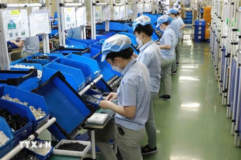 Sản xuất đồ điện gia dụng tại Khu công nghiệp Việt Nam-Singapore (VSIP) ở Bình Dương. (Ảnh: Vũ Sinh/TTXVN)