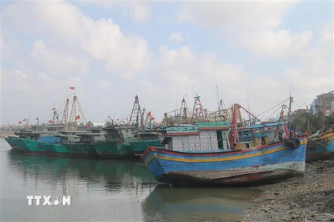 Hàng loạt tàu cá tại xã Phước Tỉnh, huyện Long Điền, tỉnh Bà Rịa-Vũng Tàu nằm bờ do chi phí xăng dầu tăng cao. (Ảnh: Hoàng Nhị/TTXVN)