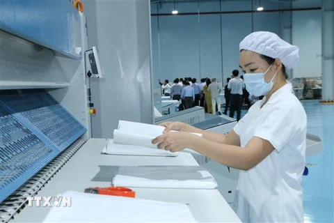 Công nhân tại khu công nghiệp Phúc Long, huyện Bến Lức, tỉnh Long An. (Nguồn: TTXVN)