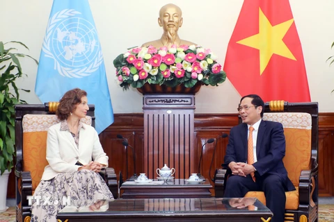 Bộ trưởng Ngoại giao Bùi Thanh Sơn tiếp Tổng Giám đốc UNESCO Audrey Azoulay. (Ảnh: Lâm Khánh/TTXVN)