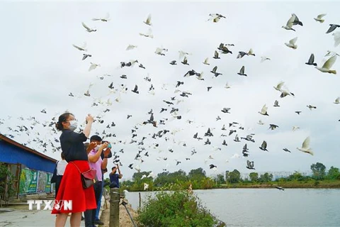 Các đại biểu tham gia trải nghiệm khu du lịch đảo Bầu, huyện An Lão, Hải Phòng. (Ảnh: TTXVN)