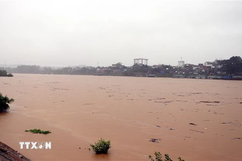 Sông Lô đoạn qua địa phận thành phố Tuyên Quang. (Ảnh minh họa. Nguồn: TTXVN)