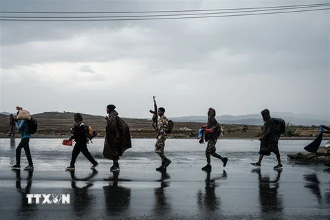 Các tay súng thuộc Lực lượng Mặt trận Giải phóng nhân dân Tigray (TPLF) ở Mekele thuộc khu vực Tigray, Ethiopia. (Ảnh: AFP/TTXVN)