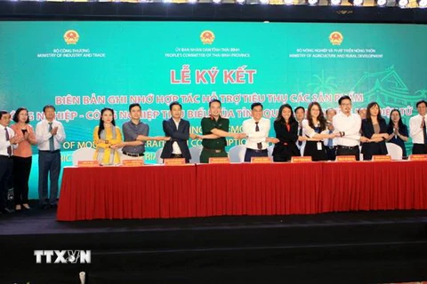 Lễ ký kết hợp tác xúc tiến đưa các sản phẩm nông nghiệp, công nghiệp tiêu biểu của tỉnh Thái Bình lên các sàn thương mại điện tử. (Ảnh: Thế Duyệt/TTXVN)