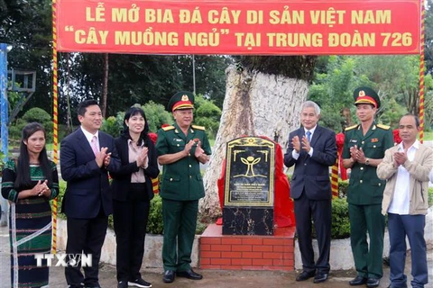 Lễ mở bia đá cây di sản Việt Nam tại Trung đoàn 726. (Ảnh: TTXVN phát)