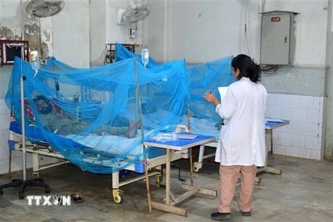 Bệnh nhân mắc sốt xuất huyết được điều trị tại bệnh viện ở Karachi, Pakistan. (Ảnh: THX/TTXVN)