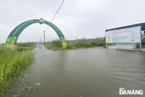 Nước ngập khá sâu tại vùng rau La Hường ở Đà Nẵng. (Nguồn: Báo Đà Nẵng)