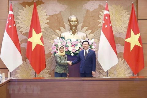 Chủ tịch Quốc hội Vương Đình Huệ hội kiến Tổng thống Cộng hòa Singapore Halimah Yacob. (Ảnh: TTXVN)
