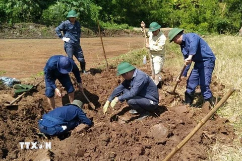 Cất bốc hài cốt liệt sỹ. (Ảnh minh họa. Nguồn: TTXVN)