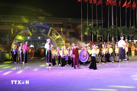 Một tiết mục đặc sắc của đồng bào dân tộc Mường tỉnh Ninh Bình tại Lễ hội đường phố. (Ảnh: Đức Phương/TTXVN)