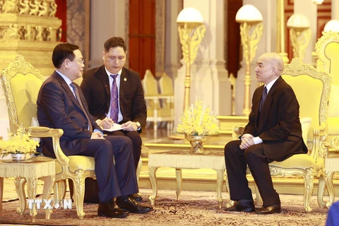 Chủ tịch Quốc hội Vương Đình Huệ yết kiến Quốc vương Campuchia Norodom Sihamoni. (Ảnh: Doãn Tấn/TTXVN)