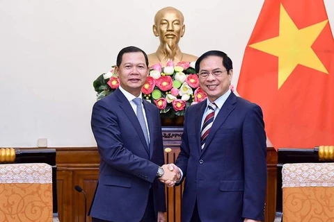 Bộ trưởng Ngoại giao Bùi Thanh Sơn đã tiếp Thứ trưởng Ngoại giao Lào Phoxay Khaykhamphithoune. (Nguồn: Thế giới và Việt Nam)
