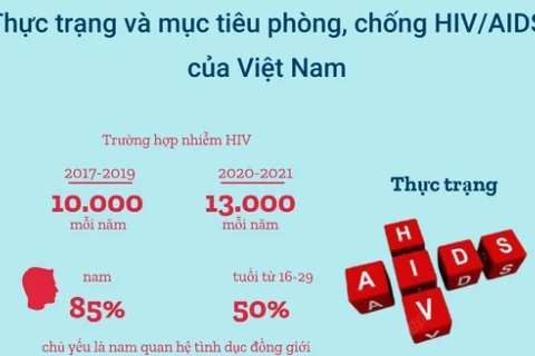Thực trạng, mục tiêu phòng, chống HIV/AIDS của Việt Nam.