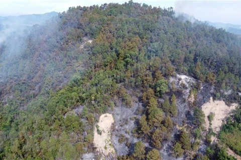 Một vụ cháy rừng thông ở thị xã Hương Thủy. (Nguồn: TTXVN)