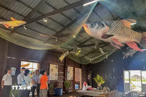 Mô hình 3D các loài cá quý hiếm của sông Hậu được giới thiệu ở Phòng Thông tin nghề cá trên bè của ông Lý Văn Bon ở Cồn Sơn. (Ảnh: Thanh Liêm/TTXVN)