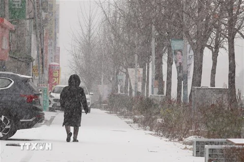 Tuyết phủ trắng trên đường ở thành phố Jeonju, phía Nam Seoul, Hàn Quốc. (Ảnh: Yonhap/TTXVN)