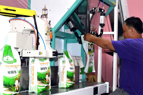 Dây chuyền đóng gói tự động sản phẩm 'Gạo Quê Tôi' tại Doanh nghiệp Thuận Thiên Trà Vinh. (Nguồn: Báo Trà Vinh)
