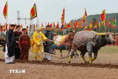 Tái hiện cảnh nhà Vua xuống đồng cày ruộng đầu năm mới tại lễ hội. (Ảnh: Thanh Tùng/TTXVN)