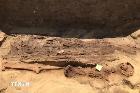 Một xác ướp được phát hiện tại địa điểm khảo cổ ở Quweisna, tỉnh Menoufiya, Ai Cập. (Ảnh: THX/TTXVN)
