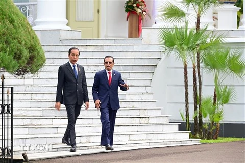 Tổng thống Indonesia Joko Widodo (trái) và Thủ tướng Timor Leste Taur Matan Ruak tại cuộc gặp ở Bogor ngày 13/2. (Ảnh: AFP/TTXVN)