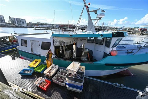 Ngư dân vận chuyển cá tại cảng Boulogne-sur-Mer, Pháp. (Ảnh: AFP/TTXVN)