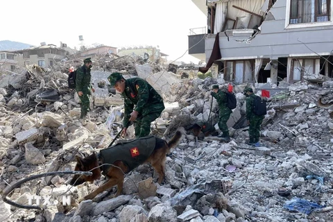 Lực lượng cứu hộ, cứu nạn Quân đội nhân dân Việt Nam tìm kiếm, cứu trợ các nạn nhân trong trận động đất tại tỉnh Hatay, Thổ Nhĩ Kỳ. (Ảnh: Văn Hiếu/TTXVN phát)