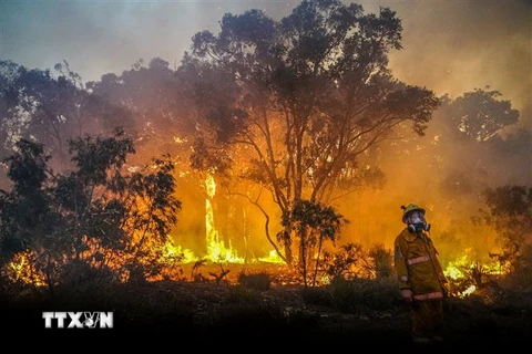Nhân viên cứu hỏa khống chế các đám cháy tại Tây Australia. (Ảnh: AFP/TTXVN)