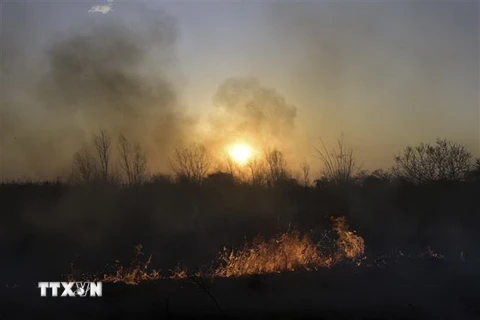 Các đám cháy rừng tại tỉnh Entre Rios, Argentina. (Ảnh: AFP/TTXVN)