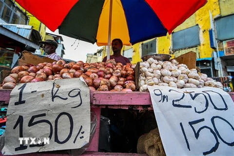 Một quầy bán hành, tỏi khô tại chợ ở Colombo, Sri Lanka. (Ảnh: AFP/TTXVN)