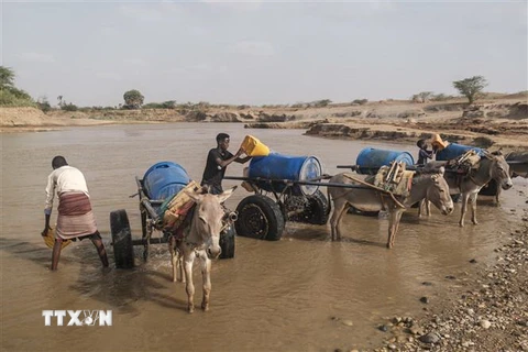 Người dân múc nước sông để sinh hoạt tại Gode, Ethiopia. (Ảnh: AFP/TTXVN)