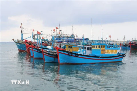 Tàu đánh bắt xa bờ neo đậu tại cảng cá Mỹ Tân ở xã Thanh Hải, huyện Ninh Hải, Ninh Thuận. (Ảnh: Nguyễn Thành/TTXVN)