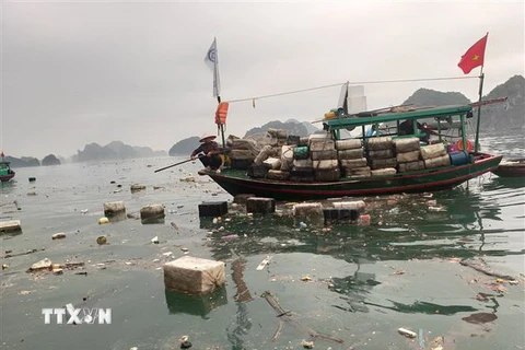 Mặt biển bị rác thải bủa vây, mất mỹ quan, gây ô nhiễm môi trường. (Ảnh: Thanh Vân/TTXVN)