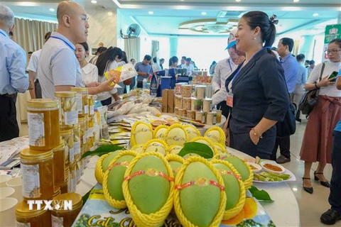 Đại diện các doanh nghiệp trao đổi tại buổi kết nối giao thương giữa doanh nghiệp Việt Nam và Trung Quốc. (Ảnh: Thanh Liêm/TTXVN)
