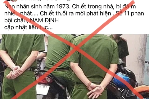 Ảnh minh họa. (Nguồn: Vietnam+)