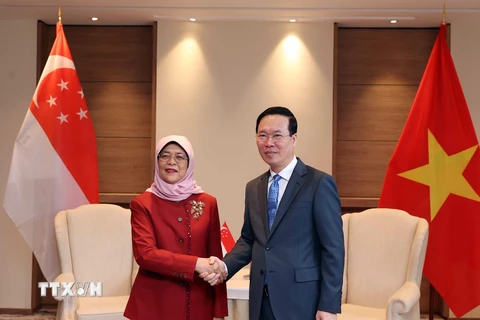 Chủ tịch nước Võ Văn Thưởng gặp Tổng thống Singapore Halimah Yacob. (Ảnh: Thống Nhất/TTXVN)