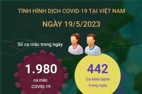 Cập nhật tình hình dịch COVID-19 tại Việt Nam ngày 19/5.