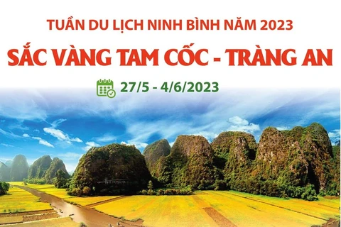 Tuần du lịch Ninh Bình 2023: Sắc vàng Tam Cốc-Tràng An.