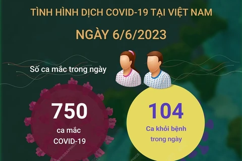 Cập nhật tình hình dịch COVID-19 tại Việt Nam ngày 6/6.