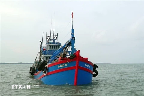 Tàu cá TG 93627 TS vận chuyển trái phép dầu DO trên biển vừa bị lực lượng chức năng bắt giữ. (Ảnh: TTXVN phát)
